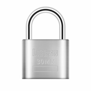 Padlock - Small Size