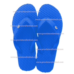 Flip Flops - Blue / Bathroom Slippers