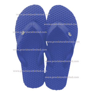 Flip flops - Dark Blue / Bathroom Slippers