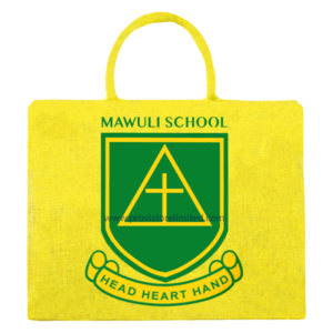 Co-ed - Mawuli SHS [Female]
