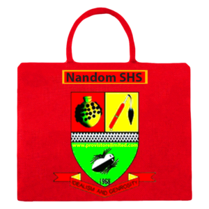 Co-ed - Nandom SHS [Female]